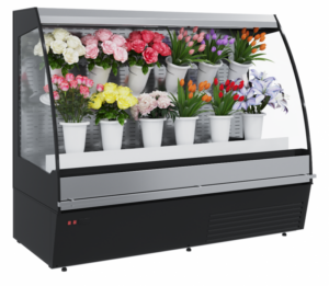 Витрина холодильная F16-08 VM 1,0-2 0020 FLORA